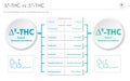 CBT vs Ã¢Ëâ 9-THC, Cannabitriol vs Delta 9 Tetrahydrocannabinol horizontal business infographic